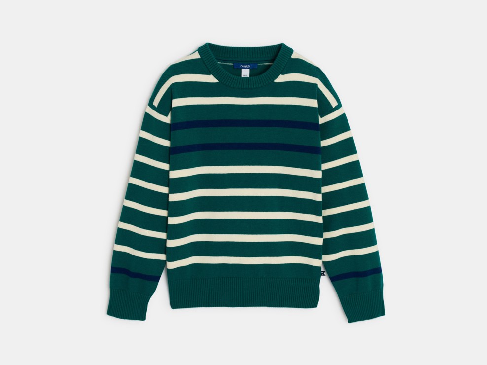 Grüner gestreifter Matrosenpullover für Jungen 1