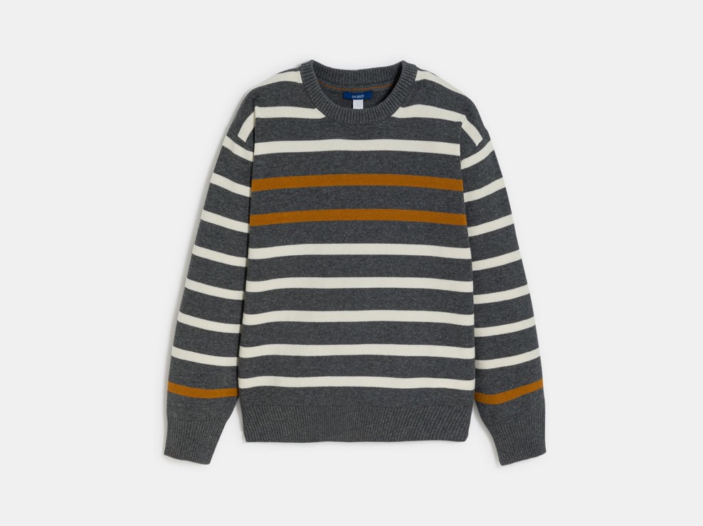 Pull marin rayé marron Garçon 1