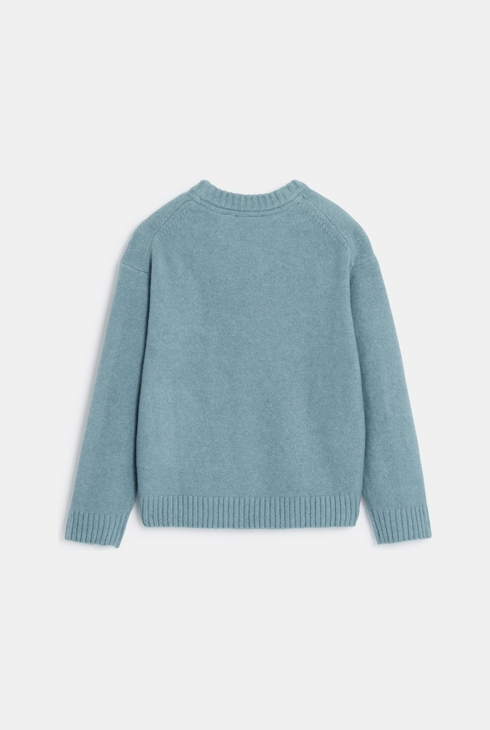 Pull col rond bleu Garçon