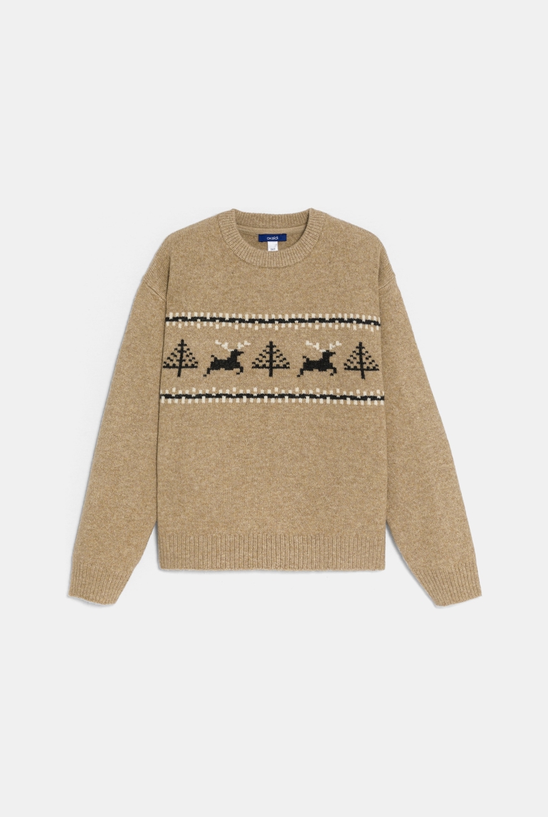 Pull motif scandinave beige foncé Garçon 1