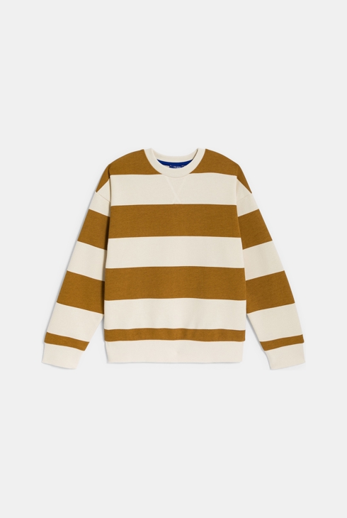 Sweat-shirt rayé marron Garçon 1