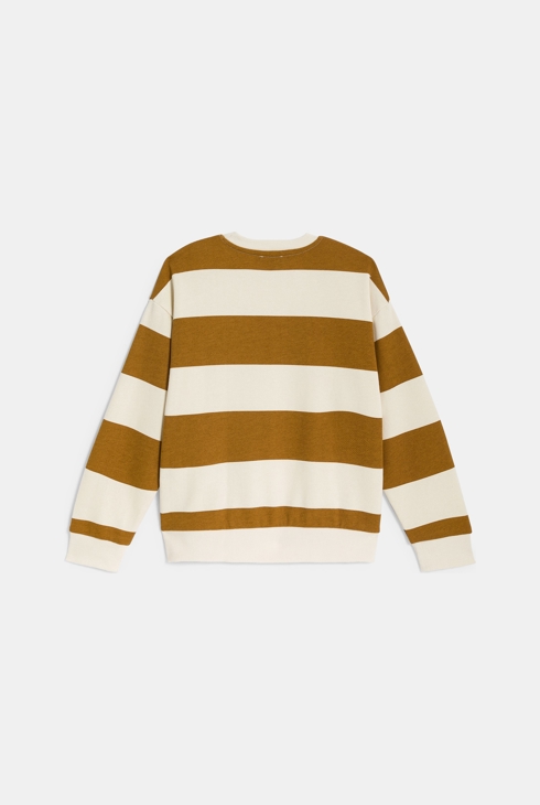 Sweat-shirt rayé marron Garçon 2