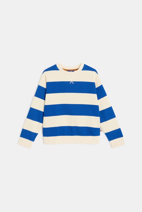 Sweat-shirt rayé bleu Garçon 1