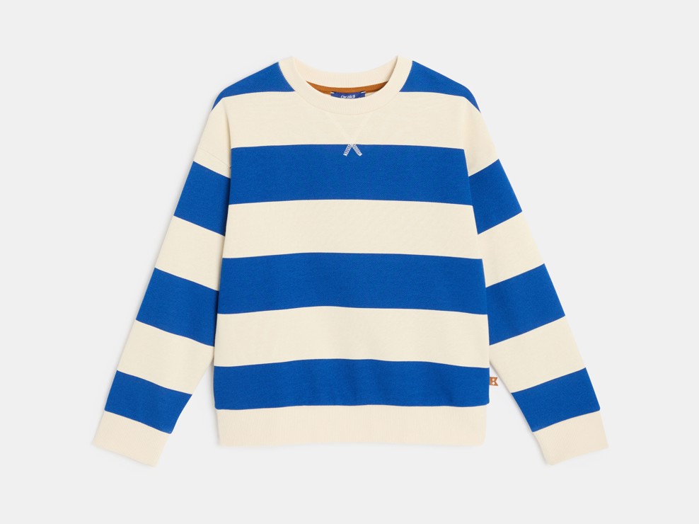 Blaues gestreiftes Sweatshirt für Jungen 1