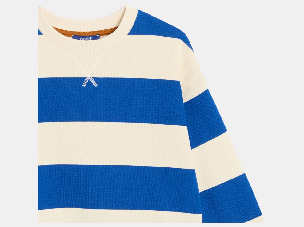 Blaues gestreiftes Sweatshirt für Jungen 2