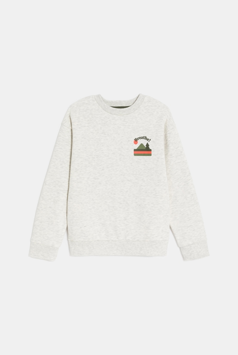 Sweat-shirt motif devant et dos gris chiné Garçon