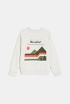 Sweat-shirt motif devant et dos gris chiné Garçon 4