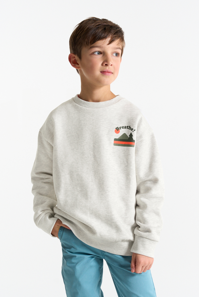 Sweat-shirt motif devant et dos gris chiné Garçon 1