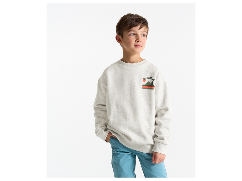 Sweat-shirt motif devant et dos gris chiné Garçon 1