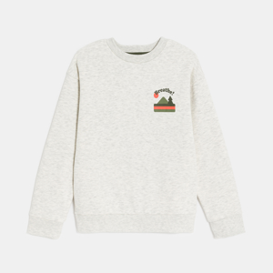 Gemêleerd grijs sweatshirt met motief voor en achter voor jongens 1