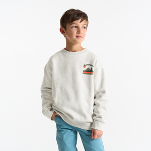 Sweatshirt mit Motiv auf der Vorderseite und grau meliertem Rücken für Jungen 1