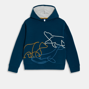 Sweat-shirt à capuche bleu marine Garçon 1