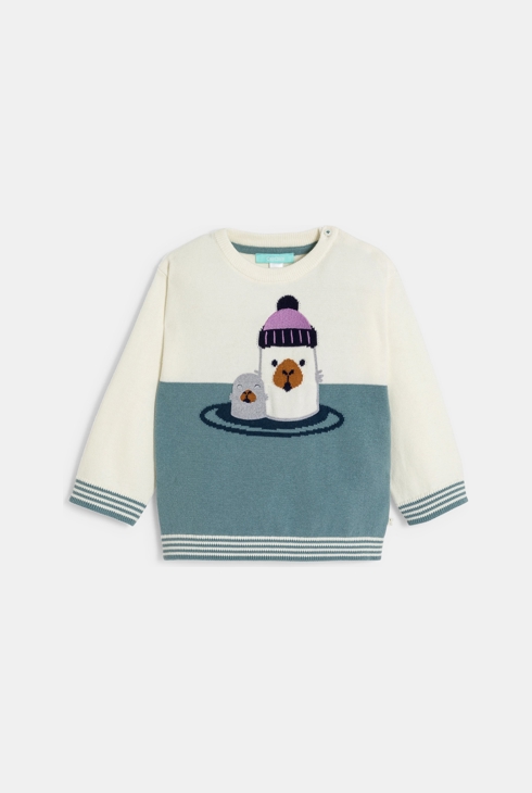 Pull maille tricot phoque bleu bébé garçon