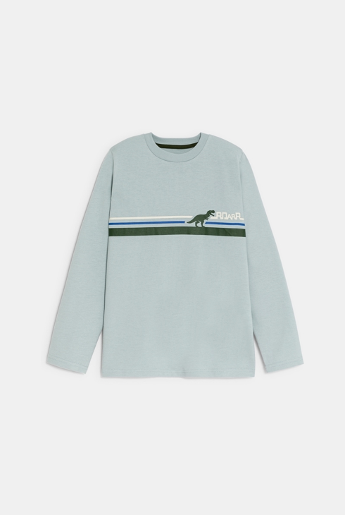 Camiseta motivo dinosaurio azul gris niño 1