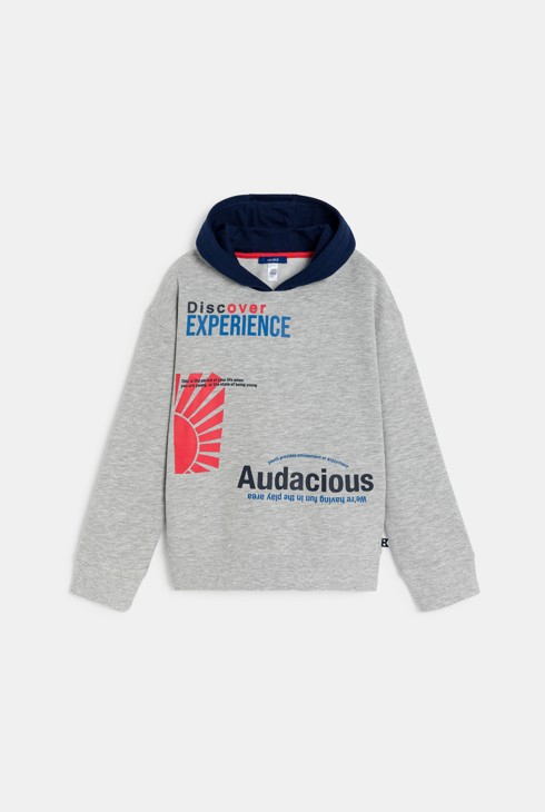 Boy's grey slogan sweatshirt 2