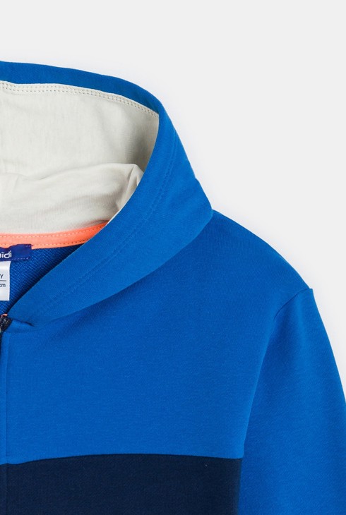Sweat-shirt à capuche colorblock bleu Garçon