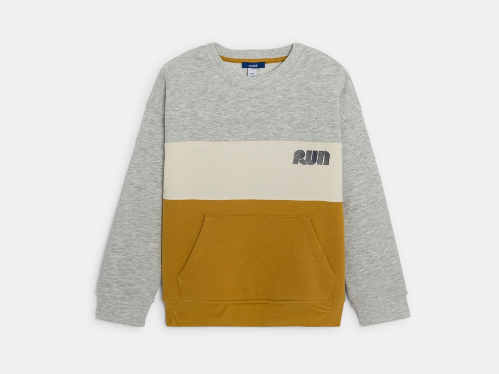 Sweat-shirt en molleton colorblock gris Garçon 1