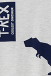 T-shirt manches longues dinosaure blanc Garçon 2