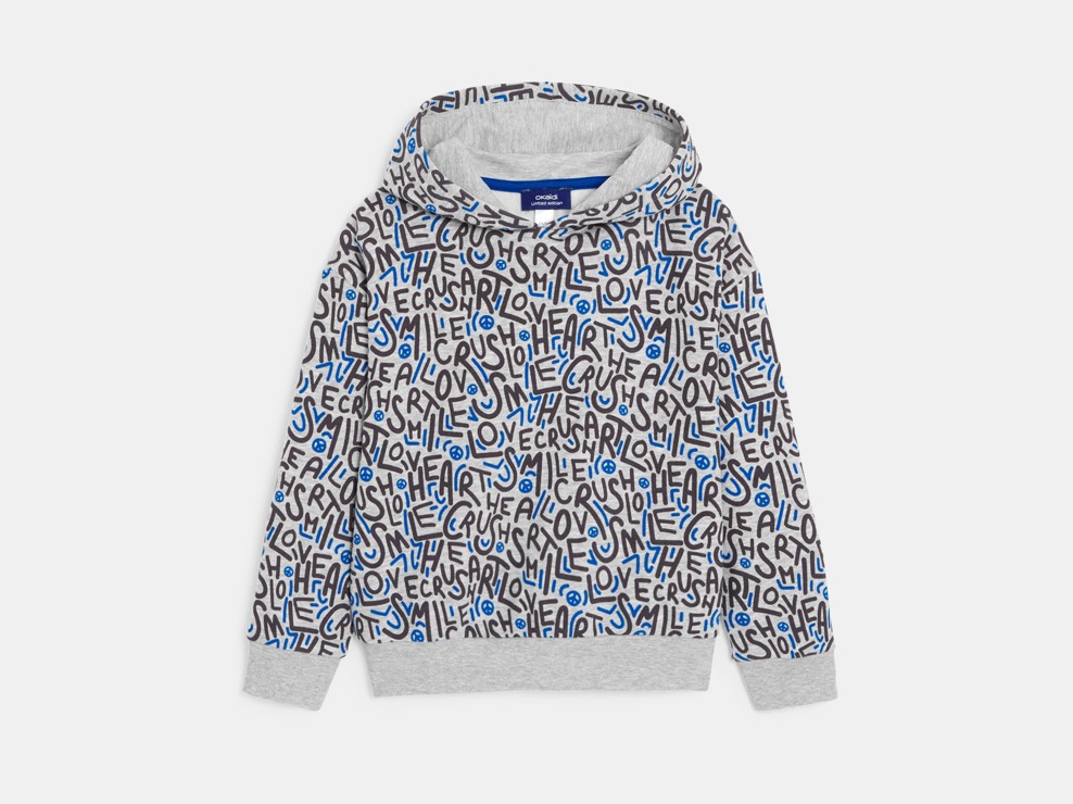 Sweat-shirt à capuche imprimé gris Garçon 1