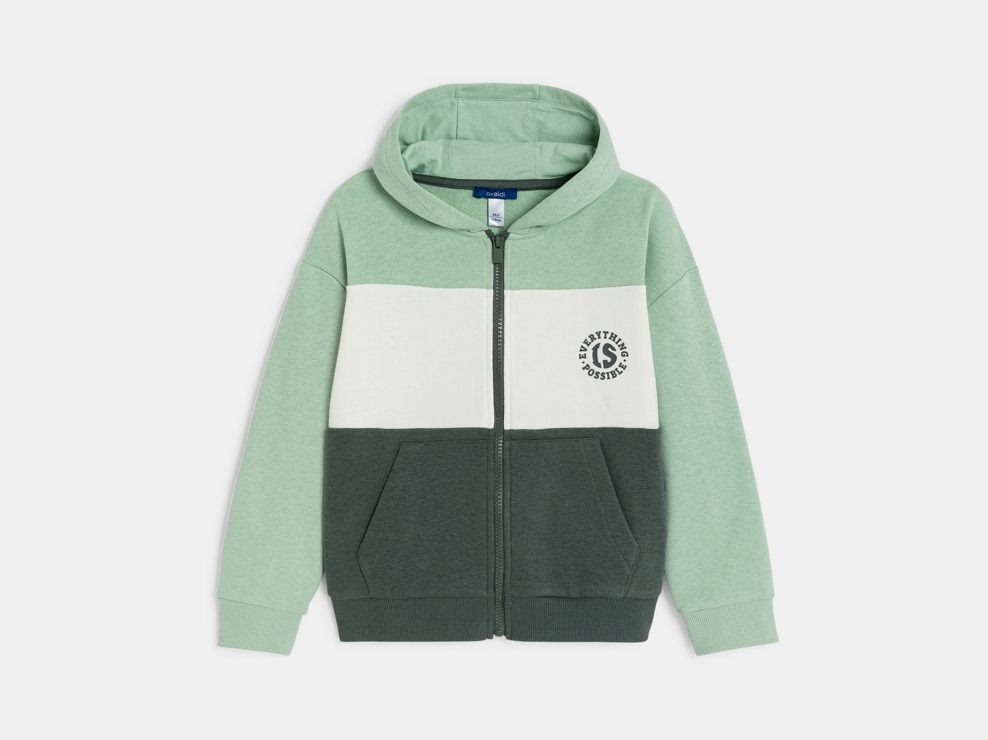 Sweat-shirt colorblock vert Garçon 1