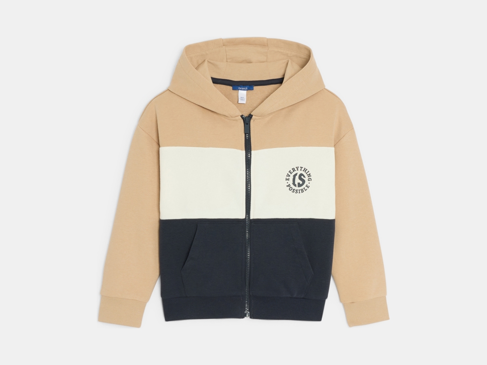 Sweat-shirt colorblock beige Garçon 1