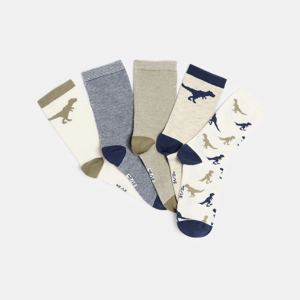 Chaussettes fantaisie Garçon (lot de 5) 1