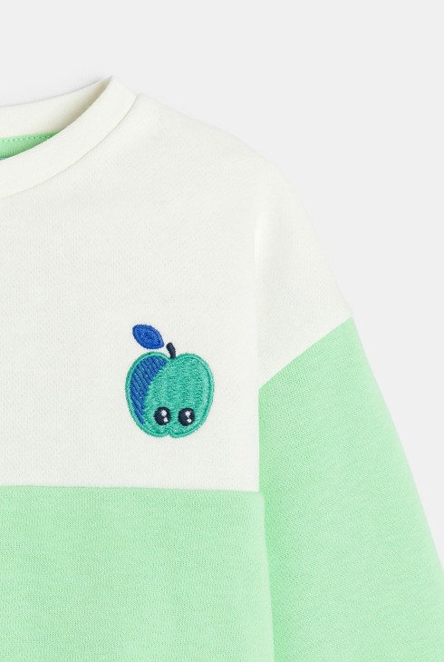 Sweat bicolore toucan vert bébé garçon