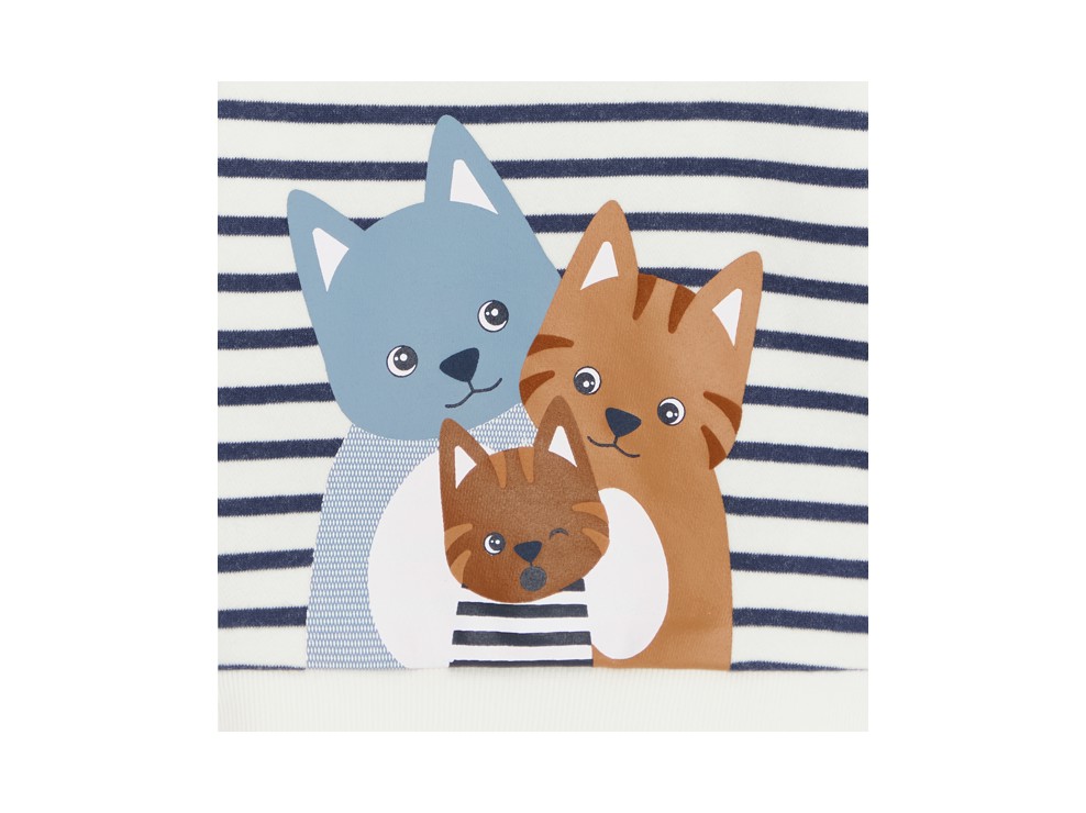 Dessuadora moletó gat de ratlles blau bebè nen 2