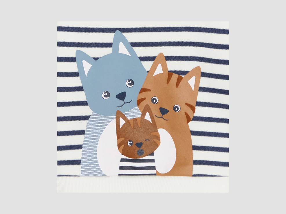 Sweat molleton chat rayé bleu bébé garçon 2