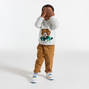 Molton-Sweatshirt Hund grau Kleinkind Junge