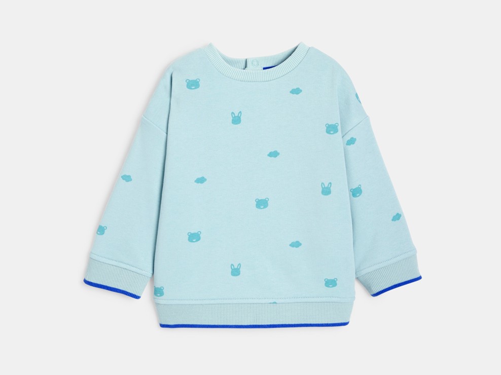 Sweatshirt Tiere blau Kleinkind Junge 2
