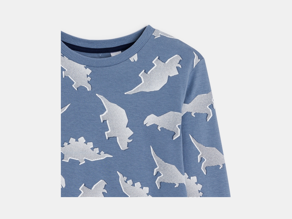 2-teiliger Pyjama aus Jersey Dinosaurier blau 2