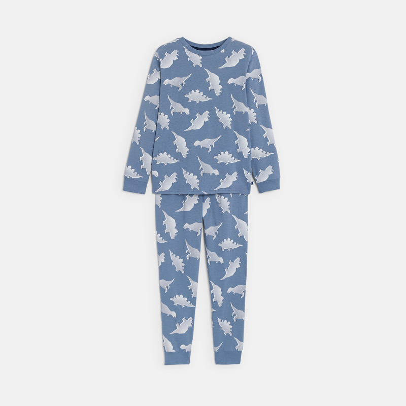 2-teiliger Pyjama aus Jersey Dinosaurier blau