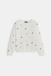 Pull fille papillons bicolores