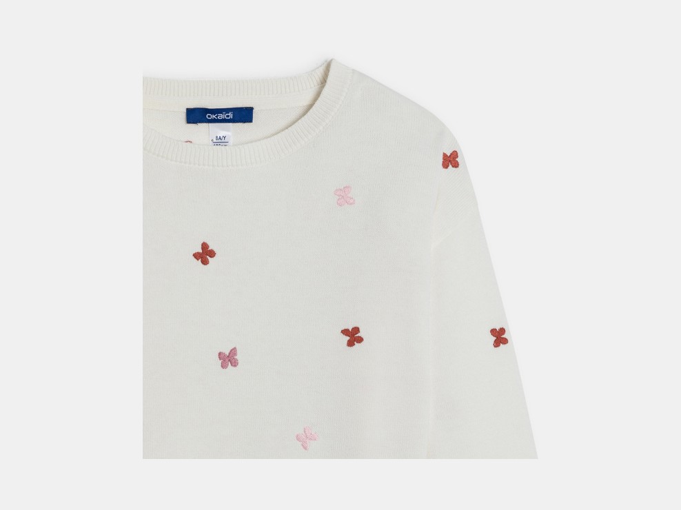 Pull fille papillons bicolores 2