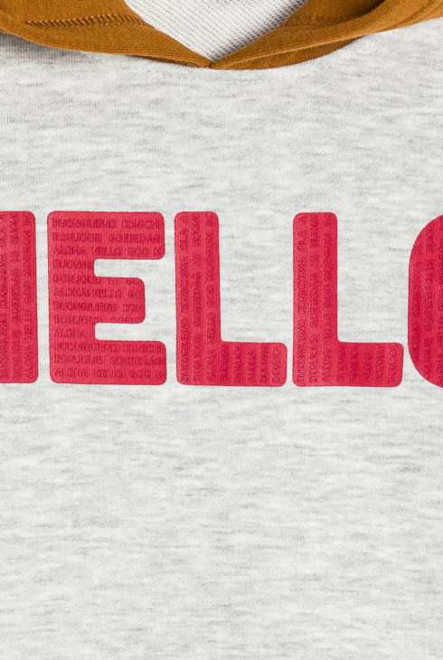 Sweat-shirt à capuche gris Garçon