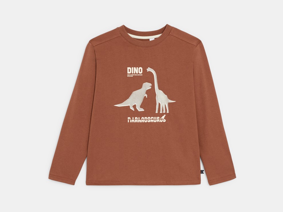 Fantovska rjava majica z dolgimi rokavi in motivom dinozavra 2