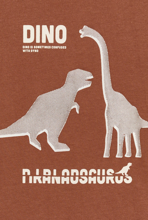 T-shirt manches longues dinosaure marron Garçon