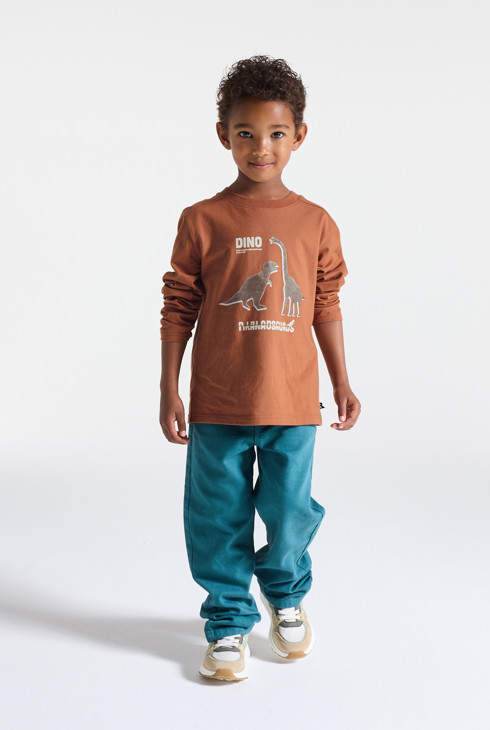 Braunes Langarm-T-Shirt Dinosaurier Jungen 1