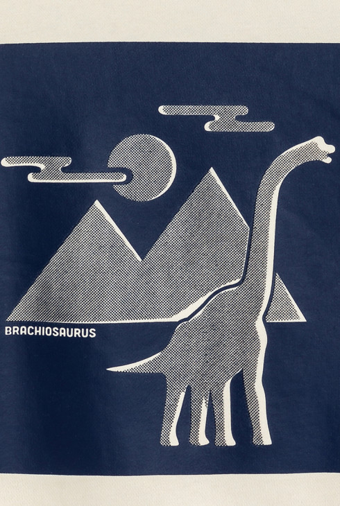 Sweat-shirt dinosaure garçon