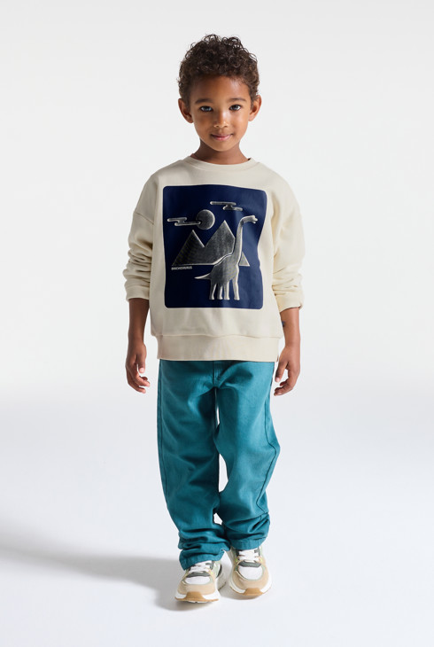 Sweat-shirt dinosaure garçon 1