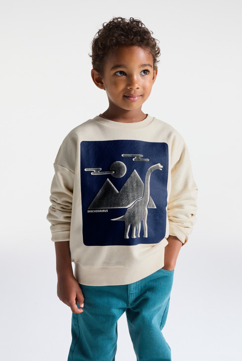 Sweatshirt met dinosaurusmotiefje voor jongens 2