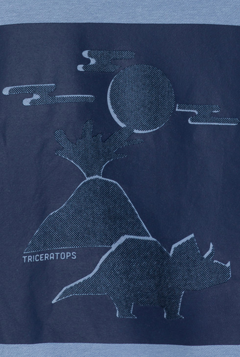 Sweat-shirt motif dinosaure bleu Garçon