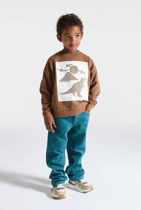 Braunes Sweatshirt mit Dinosauriermotiv für Jungen 1