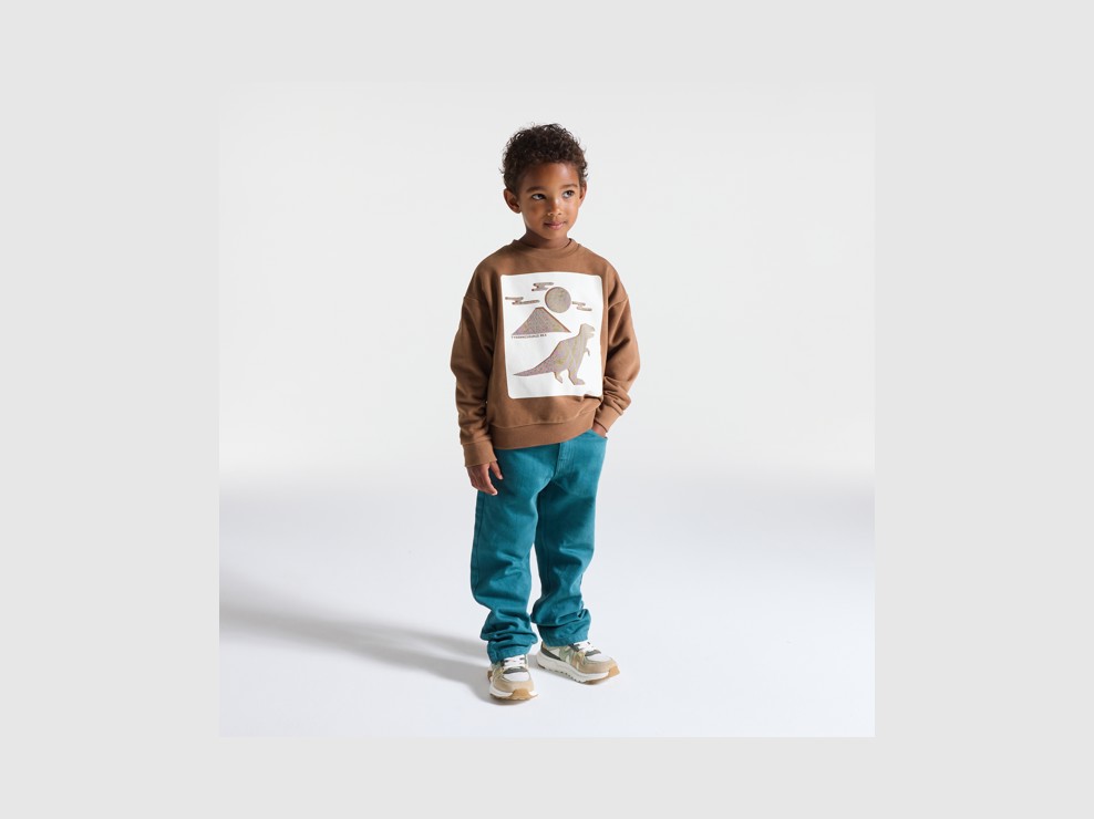 Braunes Sweatshirt mit Dinosauriermotiv für Jungen 1