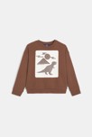 Sweat-shirt motif dinosaure marron Garçon