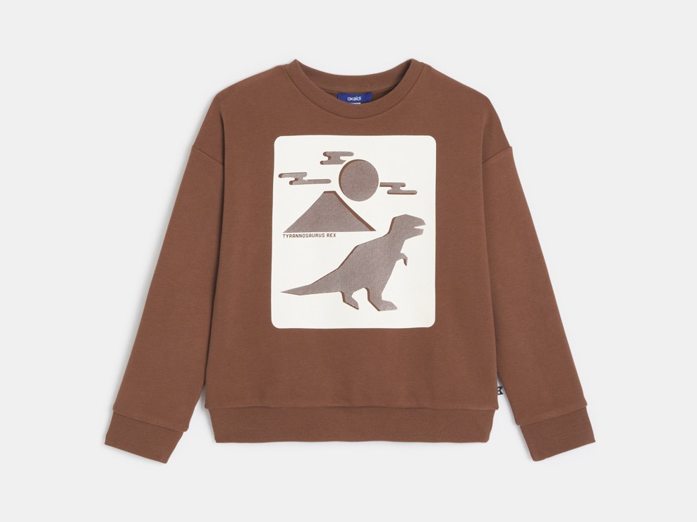 Braunes Sweatshirt mit Dinosauriermotiv für Jungen 2