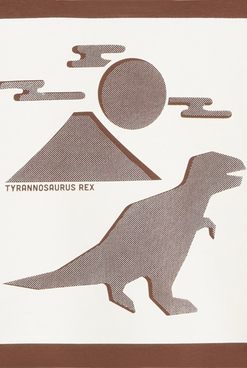 Sweat-shirt motif dinosaure marron Garçon