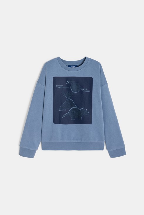 Boy's blue dinosaur motif sweatshirt 2