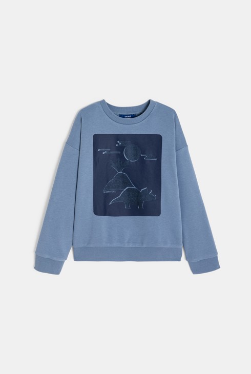 Niebieska bluza z dinozaurem dla chłopca 2